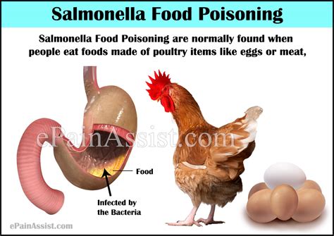 Salmonella poisoning