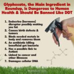 Glyphosate poisoning
