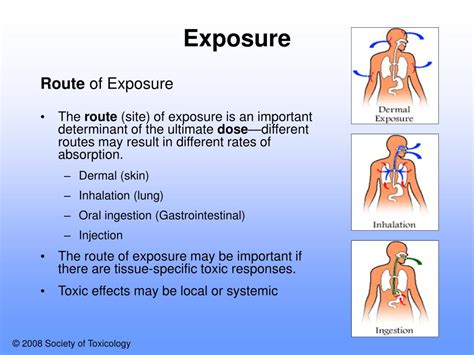 Types of Poisoning: Understanding the Different Routes of Exposure