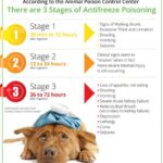 Recognizing and Treating Poisoning Symptoms in Pets