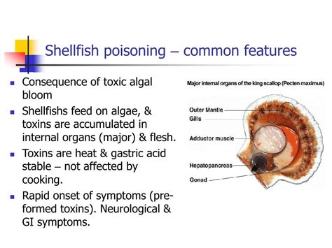 Shellfish Poisoning