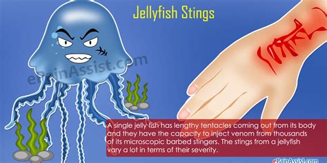 Jellyfish Sting Poisoning
