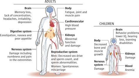 Signs and Symptoms of Lead Poisoning in Adults